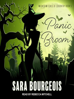 Panic Broom - Audiobook
